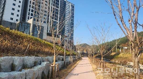 성황천 걷고 싶은 벚꽃길